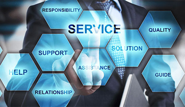Professional-Support-Services-1